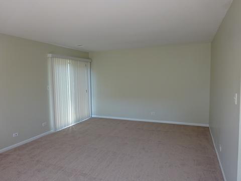 4432 Trailside Ct, Hoffman Estates, IL 60192 photo 12