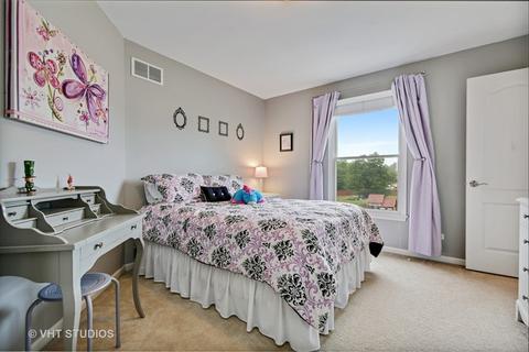 12848 Shenandoah Trl, Plainfield, IL 60585 photo 17