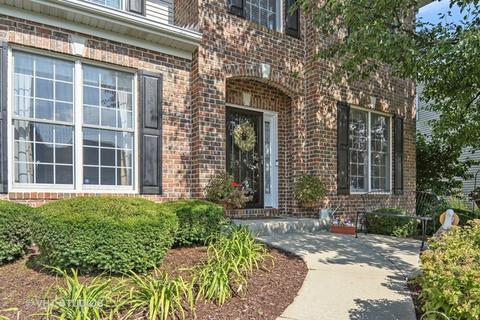 12848 Shenandoah Trl, Plainfield, IL 60585 photo 30