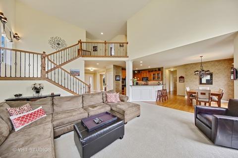 12848 Shenandoah Trl, Plainfield, IL 60585 photo 2
