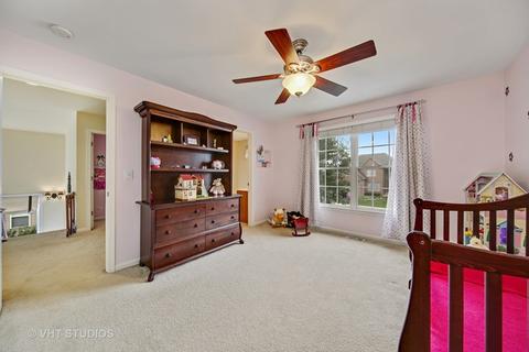 12848 Shenandoah Trl, Plainfield, IL 60585 photo 19