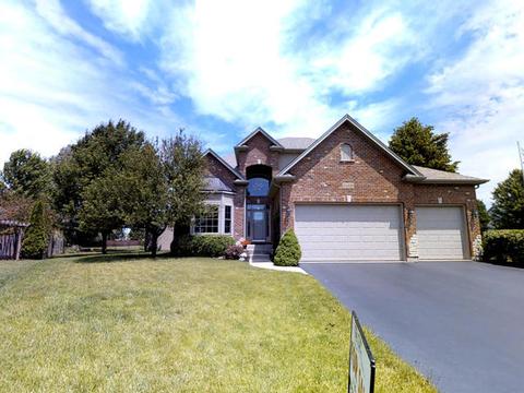 24350 Indigo Ct, Plainfield, IL 60585 photo 1