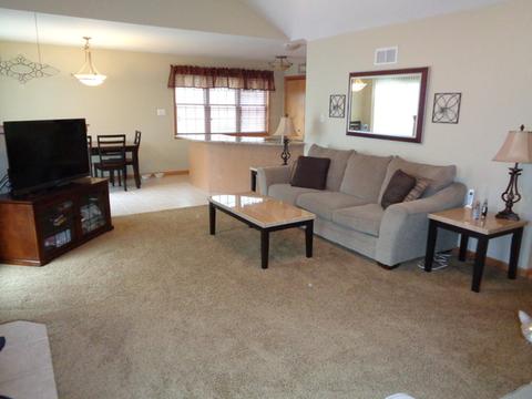 3202 Sandy Ridge Dr, Steger, IL 60475 photo 4