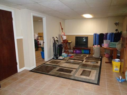 3202 Sandy Ridge Dr, Steger, IL 60475 photo 14