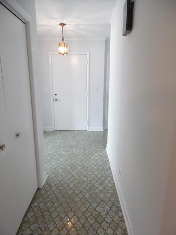 71 Marina Dr, Des Plaines, IL 60016 photo 9