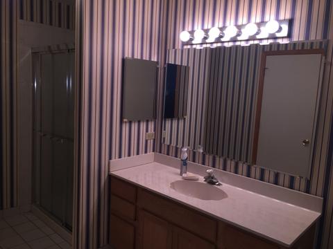 5236 W Dixie Dr, Alsip, IL 60803 photo 36