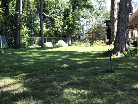 804 Spring St, Roselle, IL 60172 photo 28