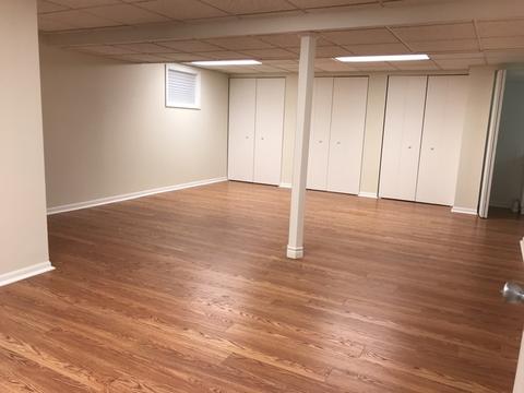 804 Spring St, Roselle, IL 60172 photo 21