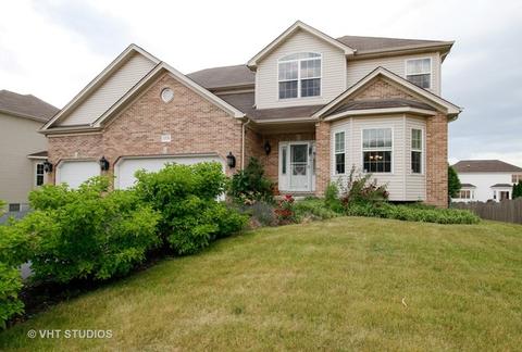 23728 Dayfield Ct, Plainfield, IL 60586 photo 1