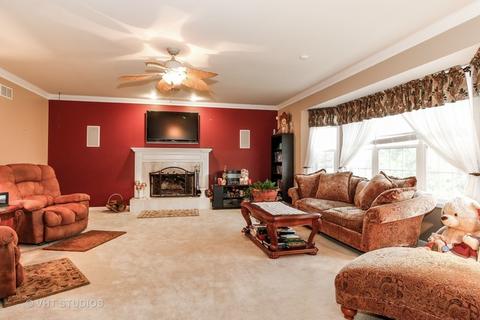 23728 Dayfield Ct, Plainfield, IL 60586 photo 6