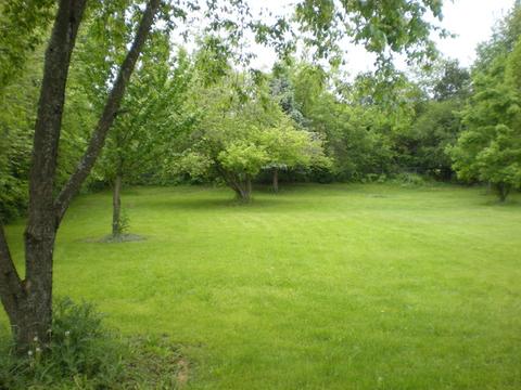3713 Buchanan Rd, Johnsburg, IL 60051 photo 10