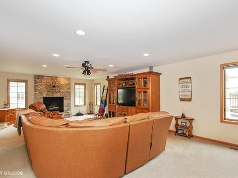 3810 Candyland Ln, Morris, IL 60450 photo 3
