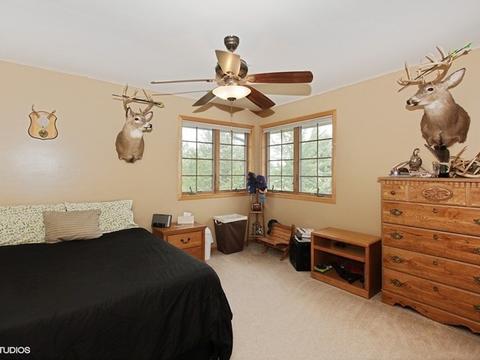 3810 Candyland Ln, Morris, IL 60450 photo 18