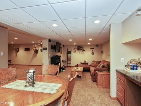 3810 Candyland Ln, Morris, IL 60450 photo 13