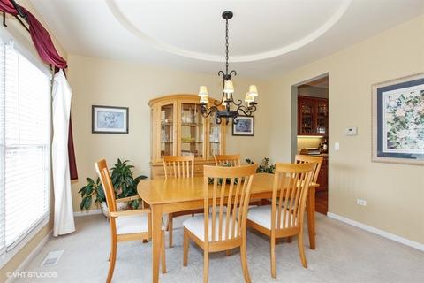 12907 Skyline Dr, Plainfield, IL 60585 photo 8
