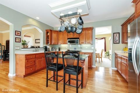 12907 Skyline Dr, Plainfield, IL 60585 photo 5