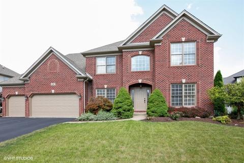 12907 Skyline Dr, Plainfield, IL 60585 photo 1