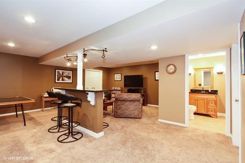 12907 Skyline Dr, Plainfield, IL 60585 photo 21