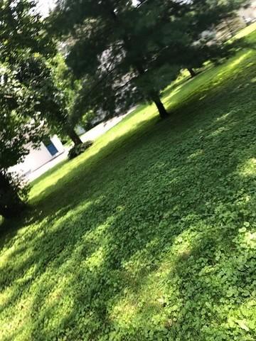 3976 Broad St, Dixon, IL 61021 photo 20