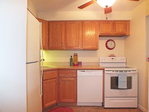 463 Alles St #2D, Des Plaines, IL 60016 photo 9