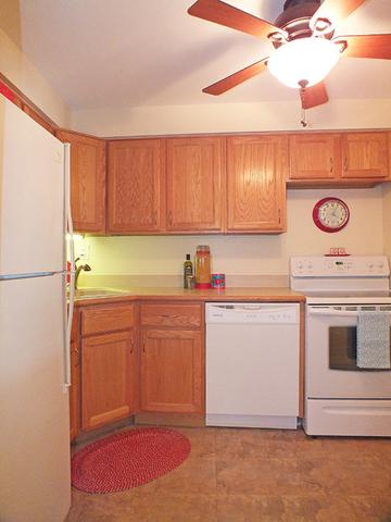 463 Alles St #2D, Des Plaines, IL 60016 photo 8