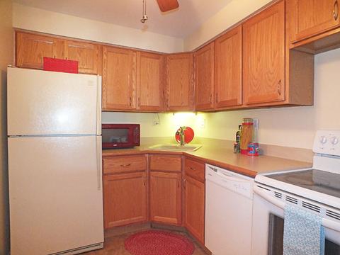 463 Alles St #2D, Des Plaines, IL 60016 photo 10