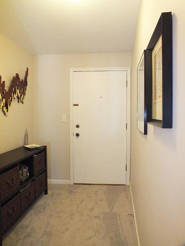 463 Alles St #2D, Des Plaines, IL 60016 photo 16