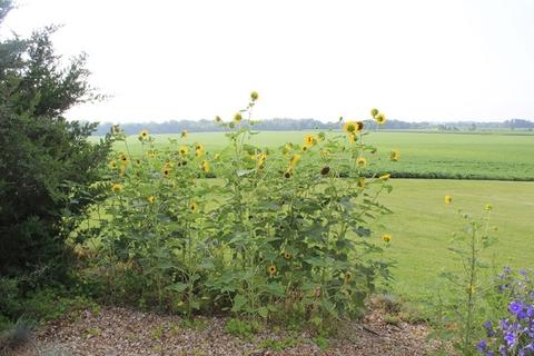 13840 Lister Rd, Morrison, IL 61270 photo 17
