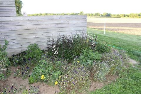 13840 Lister Rd, Morrison, IL 61270 photo 5