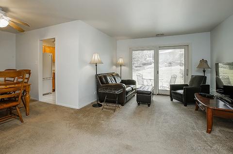 880 Sheldon Ct #A, Wheaton, IL 60189 photo 6