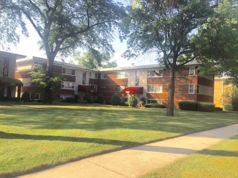 6858 W Lode Dr #2B, Worth, IL 60482 photo 2