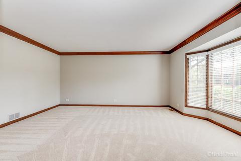 231 Brighton Dr, Wheaton, IL 60189 photo 11