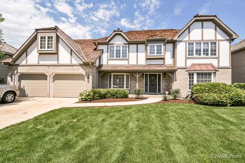 231 Brighton Dr, Wheaton, IL 60189 photo 1