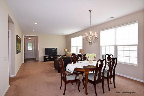 2527 Rolling Ridge Ln, Elgin, IL 60124 photo 9