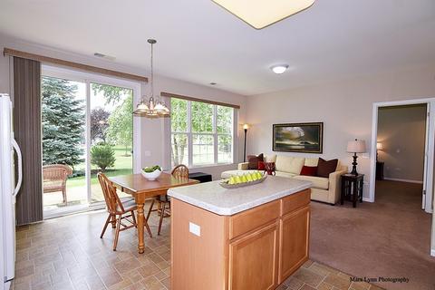 2527 Rolling Ridge Ln, Elgin, IL 60124 photo 11