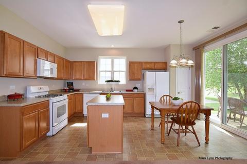2527 Rolling Ridge Ln, Elgin, IL 60124 photo 10