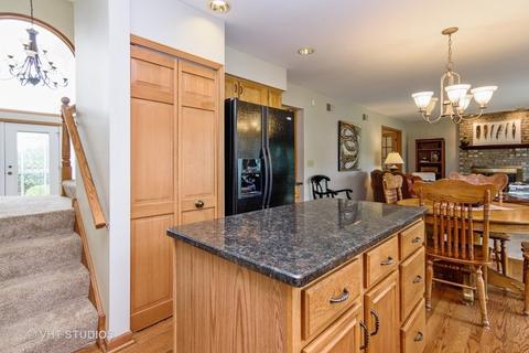 1610 Nicholson Dr, Hoffman Estates, IL 60192 photo 6