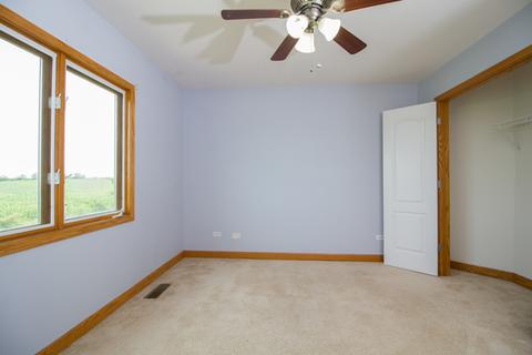 26111 S County Fair Dr, Monee, IL 60449 photo 18
