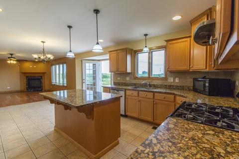 26111 S County Fair Dr, Monee, IL 60449 photo 8