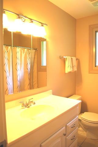 335 E Drake Ave, Addison, IL 60101 photo 12