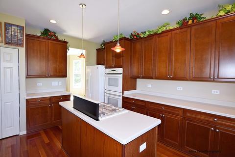 2959 Kelly Dr, Elgin, IL 60124 photo 4