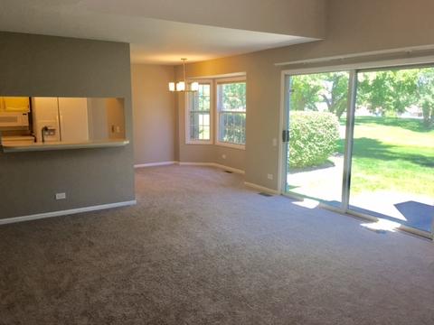 4672 N Sapphire Dr, Hoffman Estates, IL 60192 photo 5