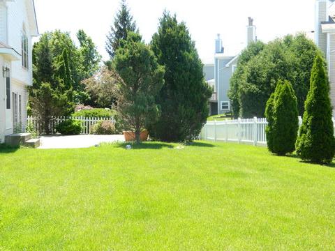 1010 Harmon Blvd, Hoffman Estates, IL 60169 photo 24
