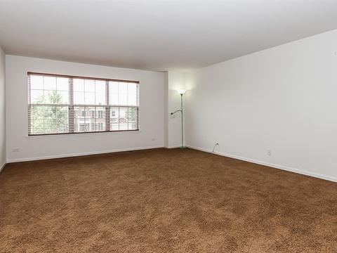 3029 Cranston Ave, Elgin, IL 60124 photo 15