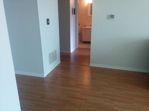 127 N Wolf Rd #50A, Wheeling, IL 60090 photo 4