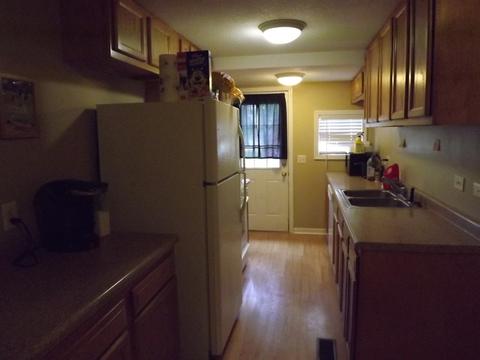 401 Lyle Ave, Donovan, IL 60931 photo 19