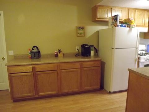 401 Lyle Ave, Donovan, IL 60931 photo 30