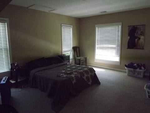 401 Lyle Ave, Donovan, IL 60931 photo 6