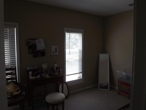 401 Lyle Ave, Donovan, IL 60931 photo 8