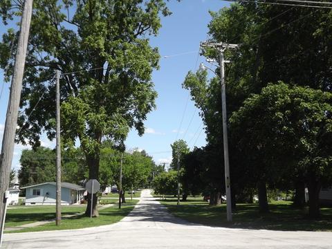 401 Lyle Ave, Donovan, IL 60931 photo 18